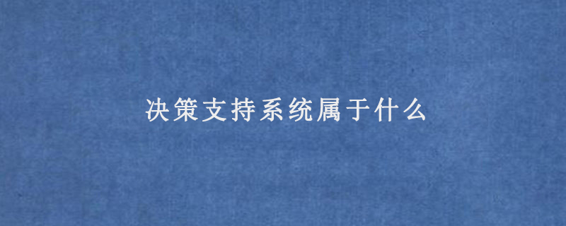 决策支持系统属于什么