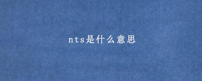 nts是什么意思