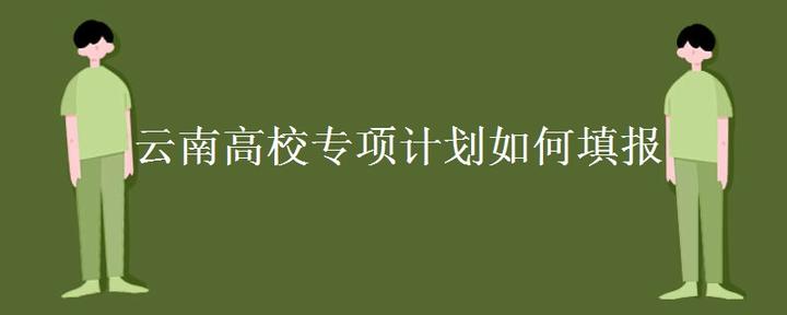 云南高校专项计划如何填报