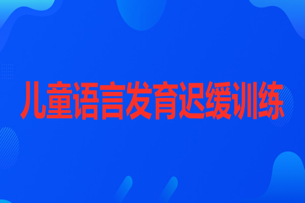 武汉靠谱的语言发育迟缓和注意力不集中训练机构