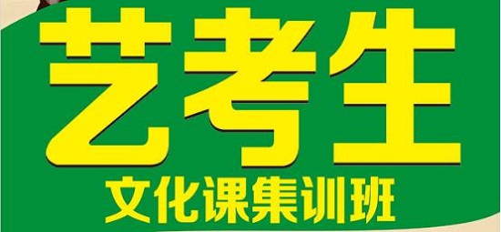 保定艺考生文化课补习机构有几家