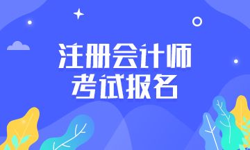 2022年湖南省注册会计师考试包含英语吗