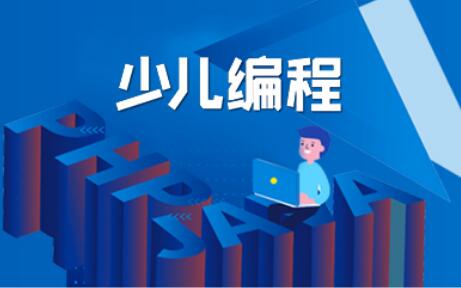 2022年河北省学编程哪个平台好