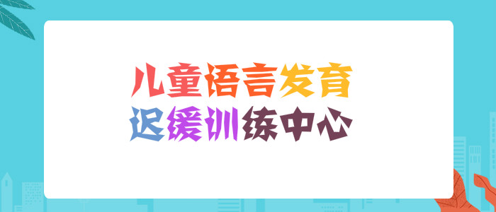 武汉专门训练儿童语言发育迟缓训练的机构