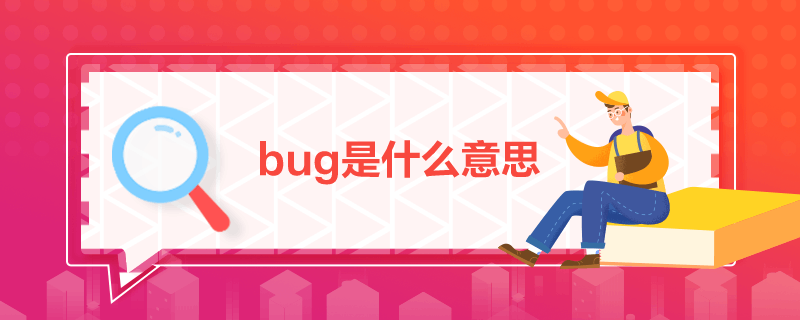 bug是什么意思