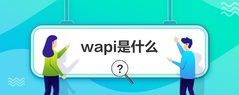 wapi是什么