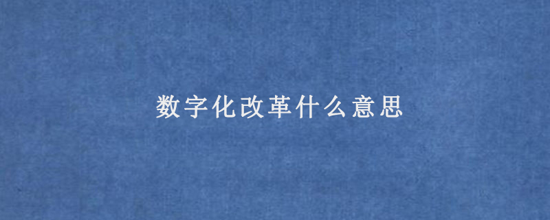 数字化改革什么意思