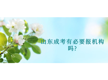 山东成考有必要报机构吗?