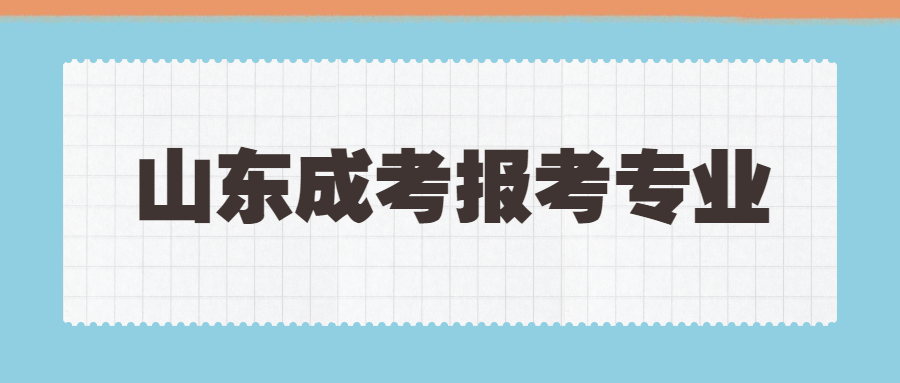 山东成考报考专业