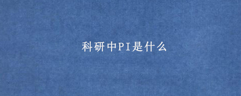 科研中PI是什么